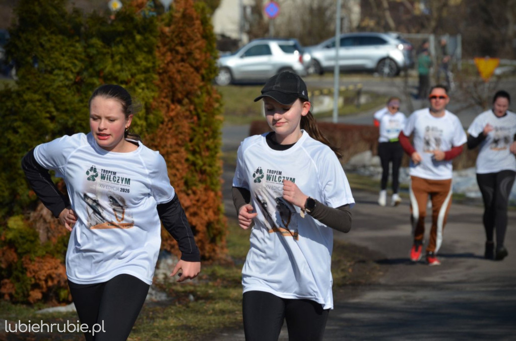Bieg i Nordic Walking Tropem Wilczym 2026