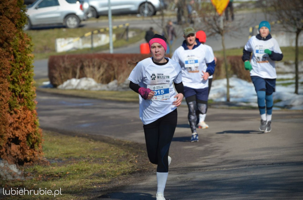 Bieg i Nordic Walking Tropem Wilczym 2026