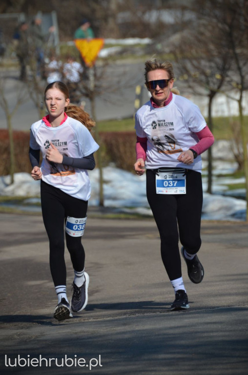 Bieg i Nordic Walking Tropem Wilczym 2026