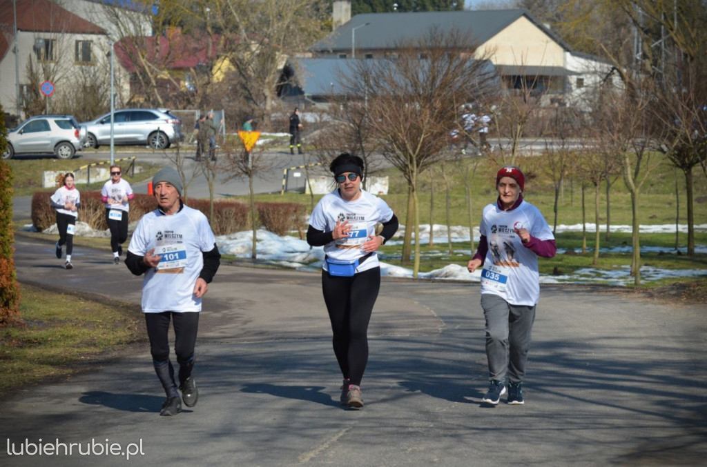 Bieg i Nordic Walking Tropem Wilczym 2026