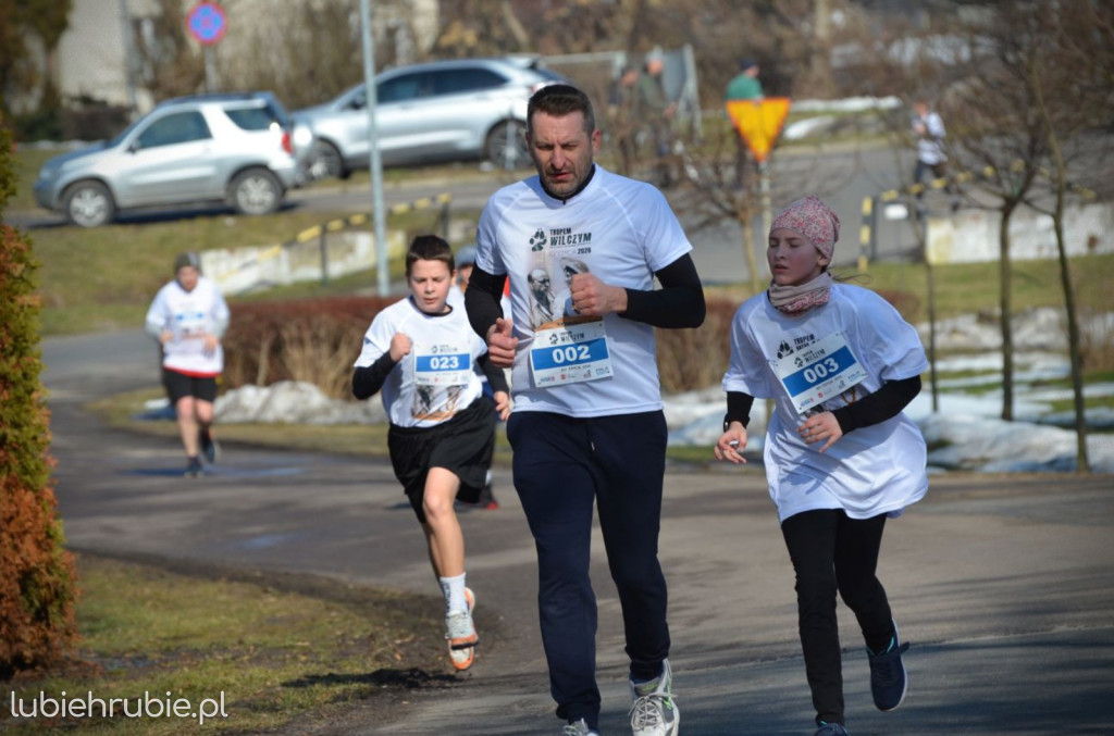 Bieg i Nordic Walking Tropem Wilczym 2026
