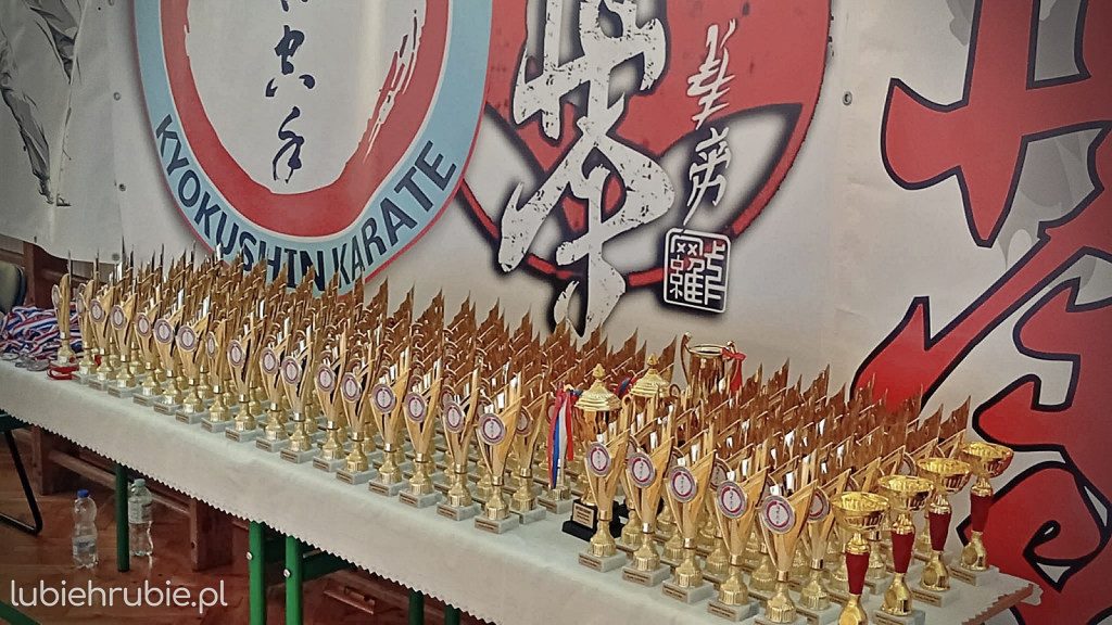 Sto procent medali dla hrubieszowskiej sekcji karate