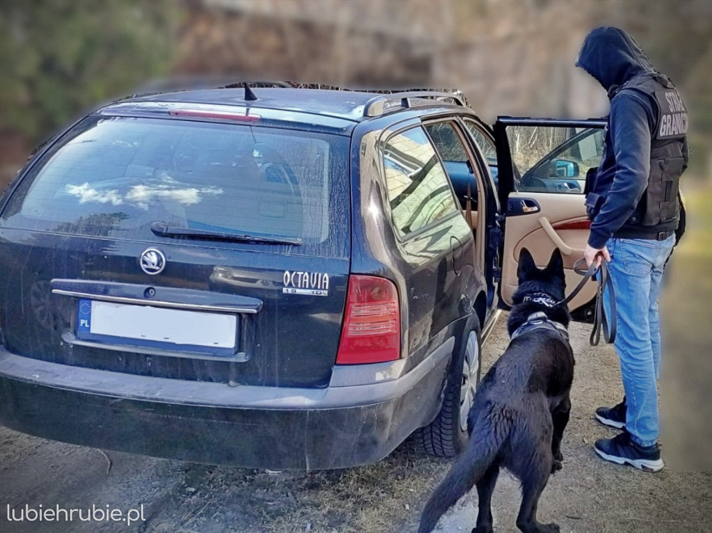 Wystarczyłyby do zrobienia 14 tys. porcji dealerskich