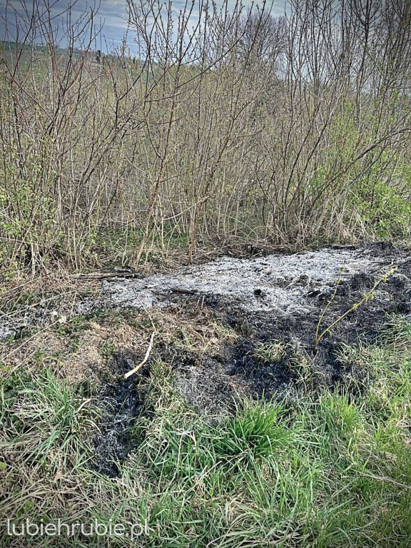 Wypalanie traw w gminie Trzeszczany