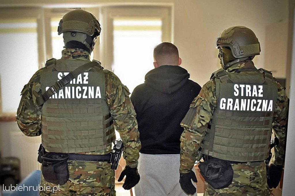 Zlikwidowano grupę przestępczą