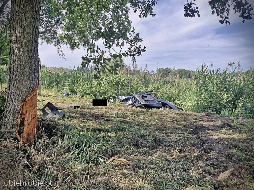Zasłabł za kierownicą, uderzył w drzewo i dachował