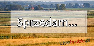 Sprzedam maszyny rolnicze
