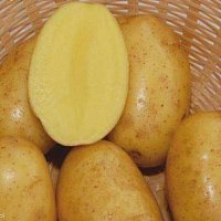zdjecie ogloszenia