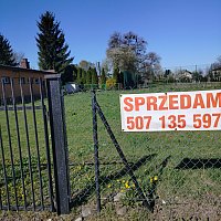 zdjecie ogloszenia