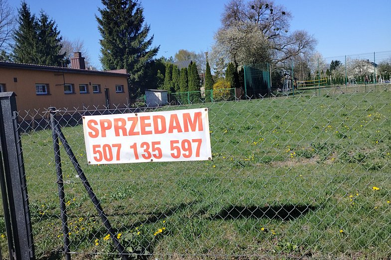 zdjecie ogloszenia