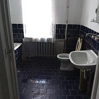 zdjecie ogloszenia