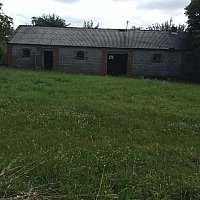 zdjecie ogloszenia