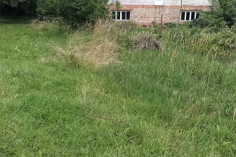 zdjecie ogloszenia