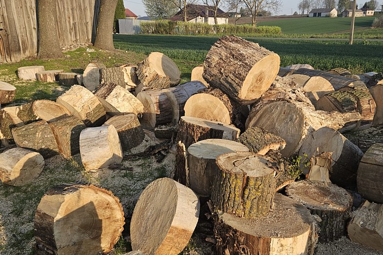 zdjecie ogloszenia