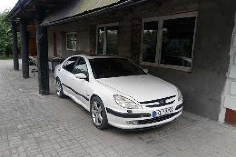 zdjecie ogloszenia