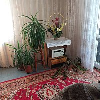 zdjecie ogloszenia
