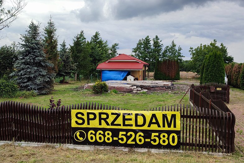 zdjecie ogloszenia