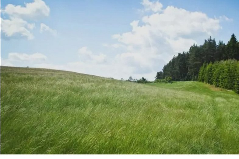 zdjecie ogloszenia