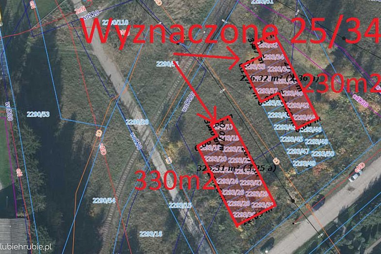 zdjecie ogloszenia