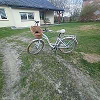 zdjecie ogloszenia