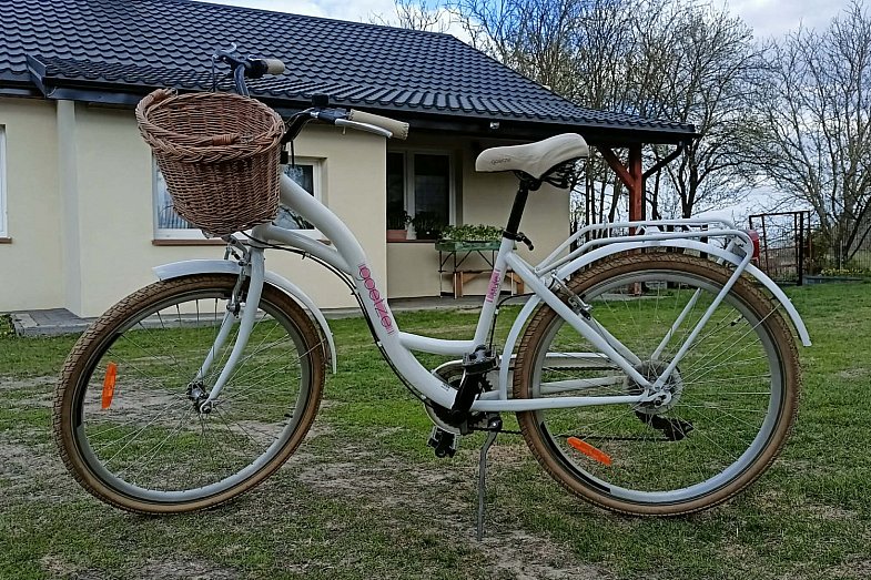 zdjecie ogloszenia