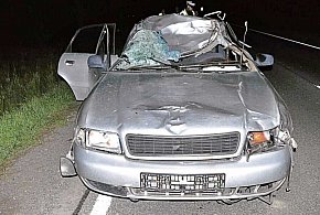 Groźne zdarzenie drogowe z łosiem. Do szpitala trafiły 2 osoby