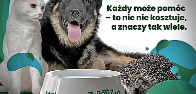 Mały gest, wielka moc – wystaw miskę!