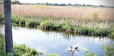 69-latek utonął w rzece