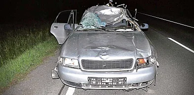 Groźne zdarzenie drogowe z łosiem. Do szpitala trafiły 2 osoby