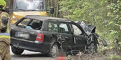 Pijany wjechał w drzewo. Potem uciekł pieszo, pozostawiając rannego pasażera