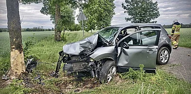 Zjechał z drogi i uderzył w drzewo