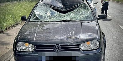 Śmiertelny wypadek - zginął pieszy. Policjanci ustalają, kto kierował pojazdem