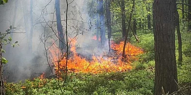 Podpalał lasy. W przeszłości próbował zostać strażakiem