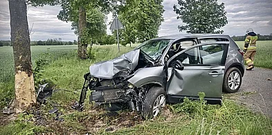 Zjechał z drogi i uderzył w drzewo