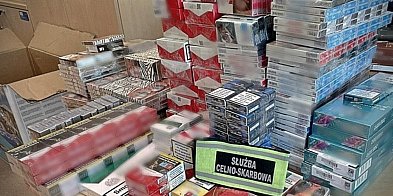 Skontrolowali pojazd i posesję