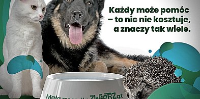 Mały gest, wielka moc – wystaw miskę!
