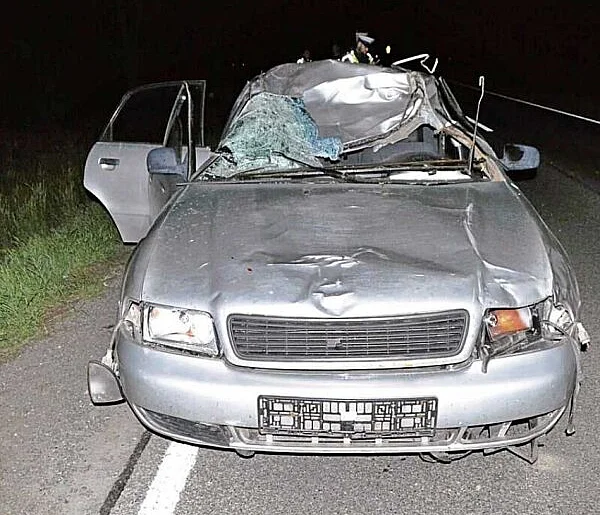 Groźne zdarzenie drogowe z łosiem. Do szpitala trafiły 2 osoby