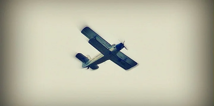 Dodatkowa akcja szczepienia lisów
