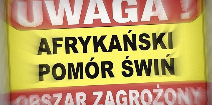 Zagrożenie ASF! Apel do hodowców
