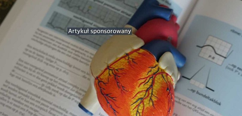 Książki do biologii w liceum i technikum – jak wybrać podręcznik?