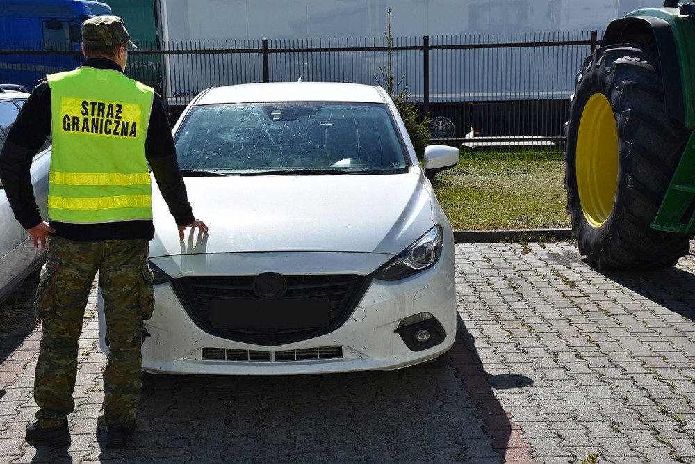 Renault oraz Mazda pozostały w kraju lubiehrubie.pl