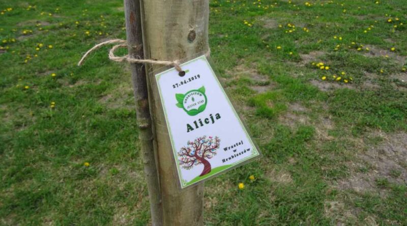 Wrastaj w Hrubieszów – rusza kolejna edycja akcji sadzenia drzewek dla dzieci (ZDJECIA)