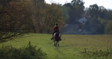 Gdzieś w Hrubieszowie… – 14.10.2024 [ZDJĘCIA]