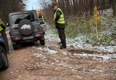 Wypadek przy ścince drzewa w Szpikołosach